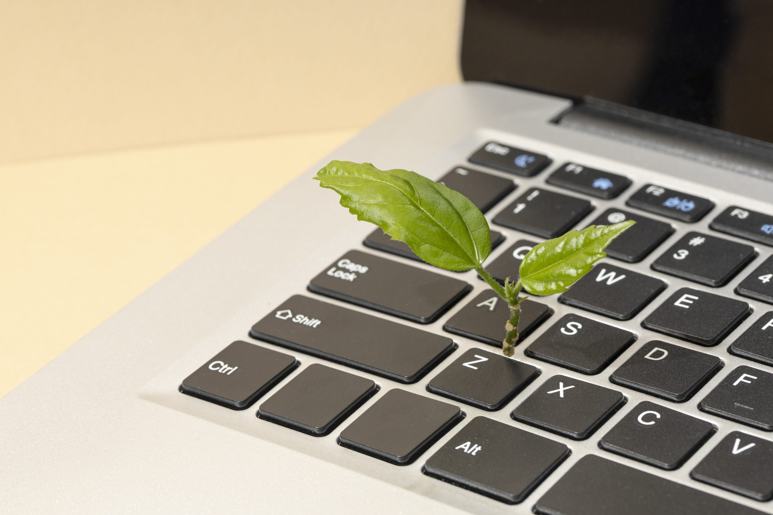 Créer un site web utile et aligné avec son activité ; Création ou refonte de site internet pour petites entreprises ; Loire